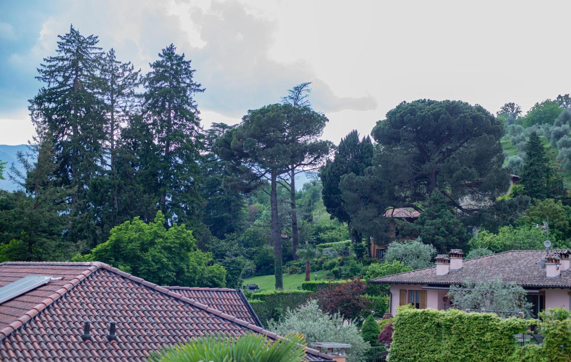 Serene Garden Getaway Cadenabbia Bagian luar foto